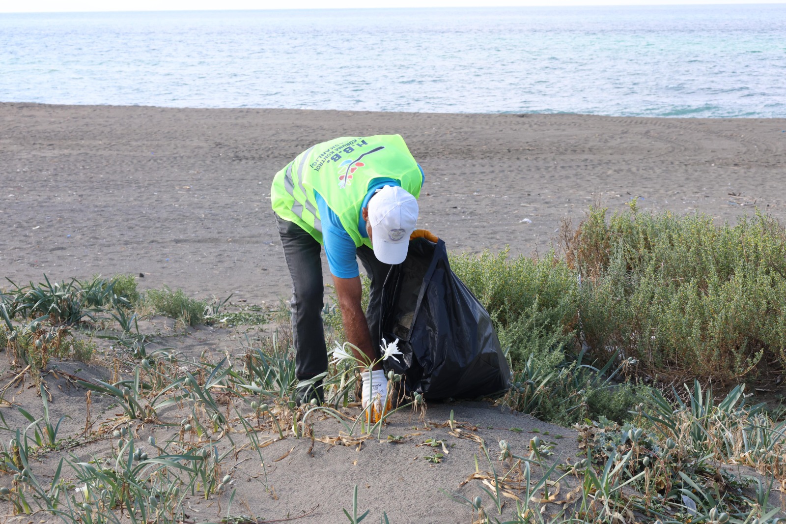 006ddf91-cb81-4076-8a33-c9458f6cf7a1